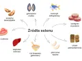 Orzechy brazylijskie, małże, tuńczyk, sardynki, chleb pełnoziarnisty, fasola, ryż, wątroba i wołowina to doskonałe źródła selenu.