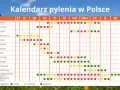 Kalendarz pylenia w Polsce: w marcu pylą leszczyna, olsza, topola, jesion, dąb, szczaw, babka, komosa, Cladosporium i Alternaria.