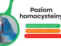 Poziom homocysteiny: optymalny 5-10, podwyższony 11-15, hiperhomocysteinemia >20. Ręka w rękawiczce trzyma probówkę z krwią.