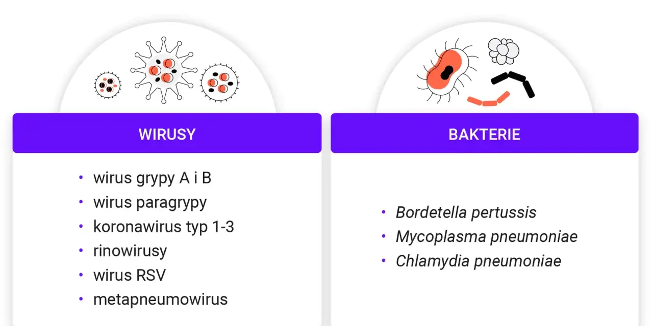 Ostre zapalenie oskrzeli jest zaraźliwe. Lista wirusów (grypa, paragrypa, koronawirus, rinowirus, RSV, metapneumowirus) i bakterii (Bordetella pertussis, Mycoplasma pneumoniae, Chlamydia pneumoniae) wywołujących chorobę.