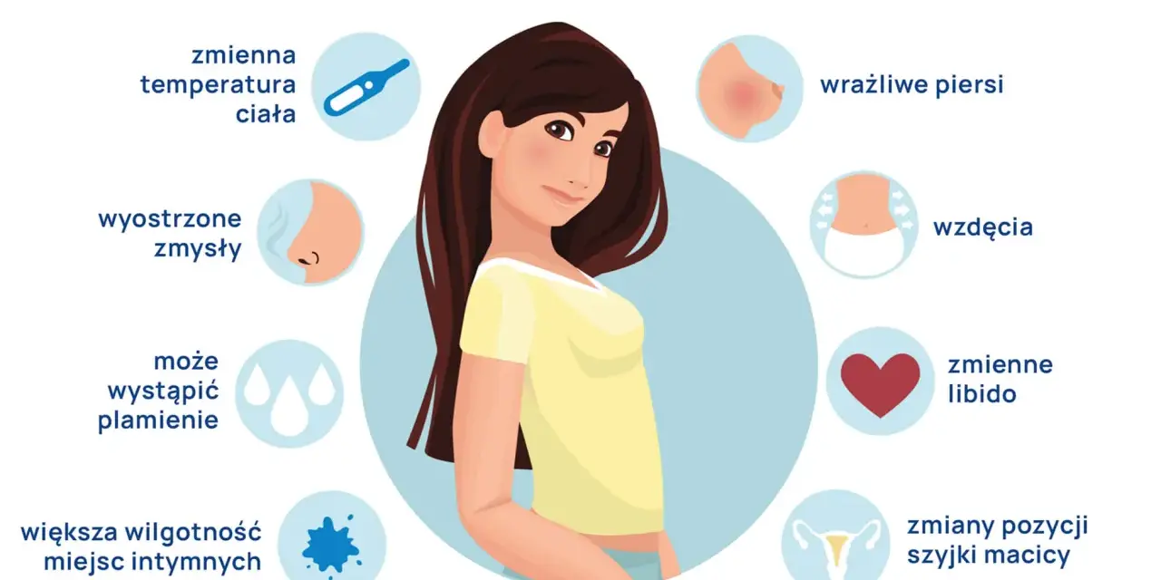 Ilustracja przedstawia objawy owulacji, takie jak zmienna temperatura ciała, wrażliwe piersi, wzdęcia, zmiany libido, bóle głowy, zmiany szyjki macicy, ból owulacyjny, większa wilgotność miejsc intymnych, plamienie, wyostrzone zmysły.