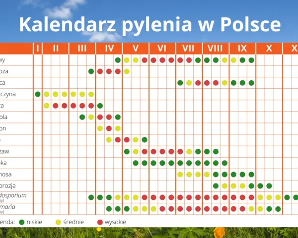 Kalendarz pylenia w Polsce: w marcu pylą leszczyna, olsza, topola, jesion, dąb, szczaw, babka, komosa, Cladosporium i Alternaria.