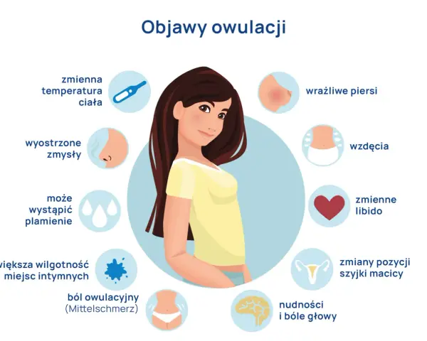 Ilustracja przedstawia objawy owulacji, takie jak zmienna temperatura ciała, wrażliwe piersi, wzdęcia, zmiany libido, bóle głowy, zmiany szyjki macicy, ból owulacyjny, większa wilgotność miejsc intymnych, plamienie, wyostrzone zmysły.