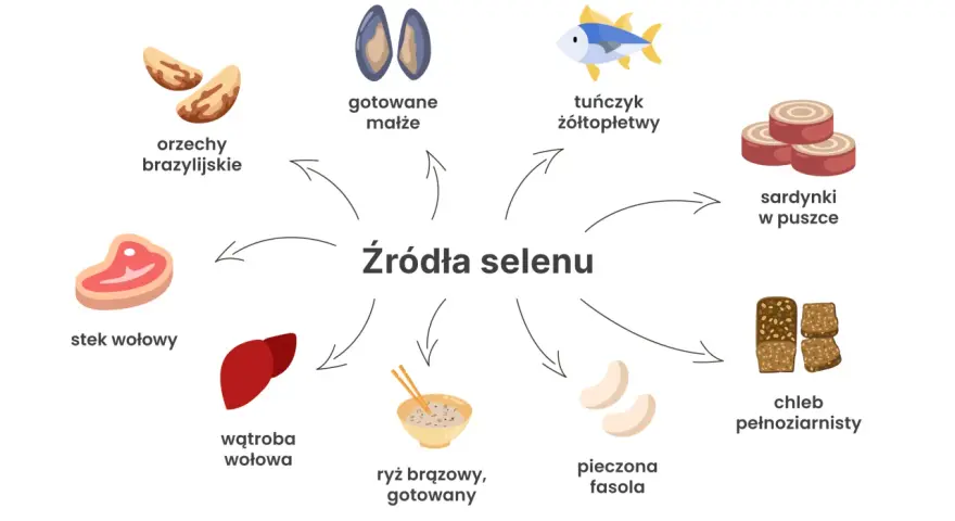 Orzechy brazylijskie, małże, tuńczyk, sardynki, chleb pełnoziarnisty, fasola, ryż, wątroba i wołowina to doskonałe źródła selenu.