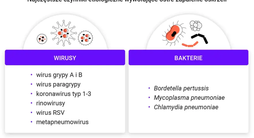 Ostre zapalenie oskrzeli jest zaraźliwe. Lista wirusów (grypa, paragrypa, koronawirus, rinowirus, RSV, metapneumowirus) i bakterii (Bordetella pertussis, Mycoplasma pneumoniae, Chlamydia pneumoniae) wywołujących chorobę.