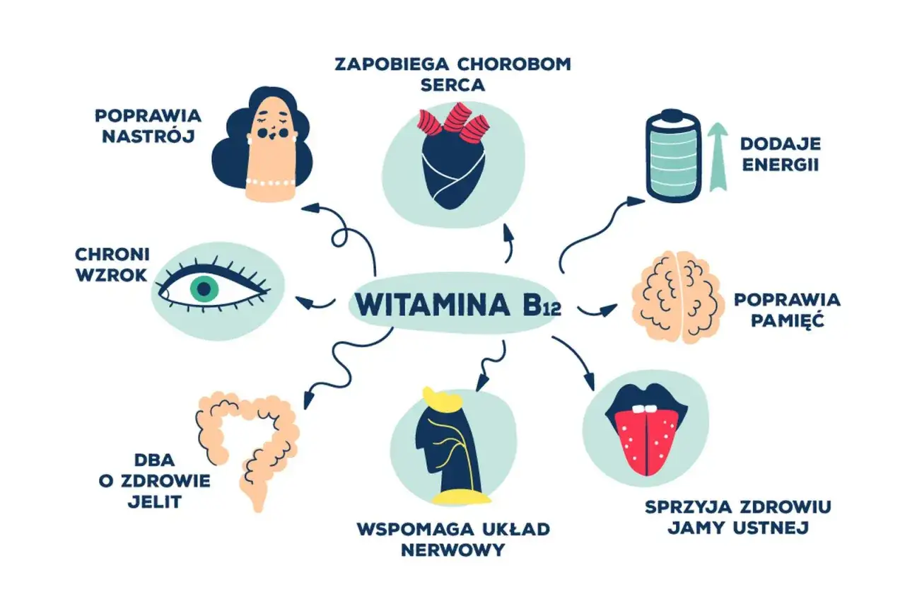 Witamina B12 na co pomaga? Poprawia nastrój, chroni wzrok, dba o jelita, wspiera układ nerwowy, sprzyja zdrowiu jamy ustnej, poprawia pamięć i dodaje energii.