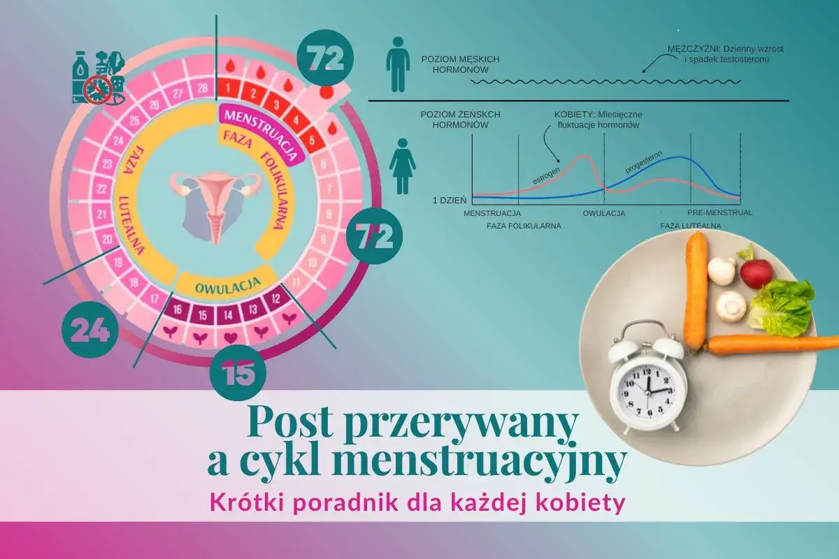 Cykl menstruacyjny kobiety: faza folikularna, owulacja, faza lutealna. Wykresy hormonów. Ile trwa okres?
