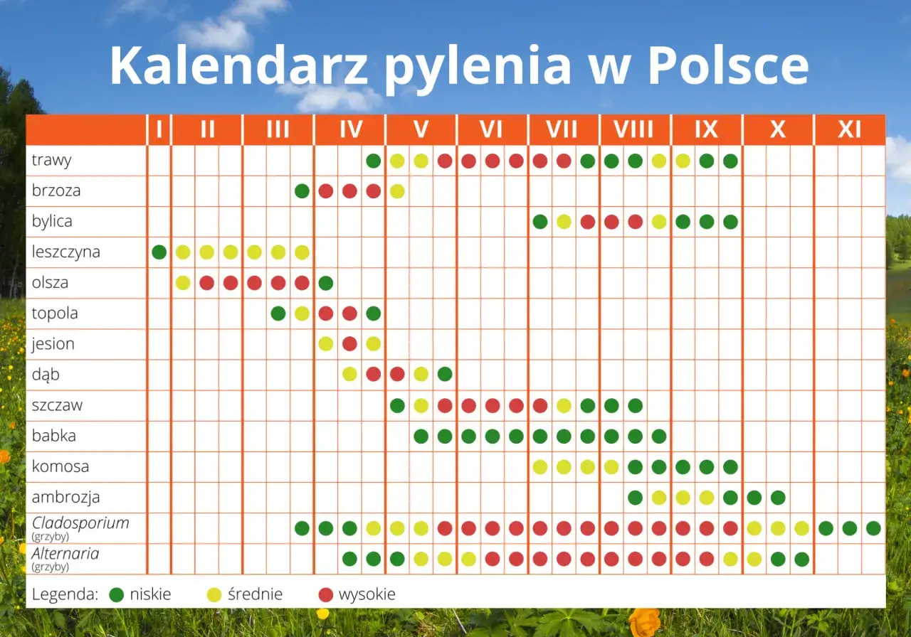 Kalendarz pylenia w Polsce. W marcu pylą leszczyna, olsza, topola i wierzba.
