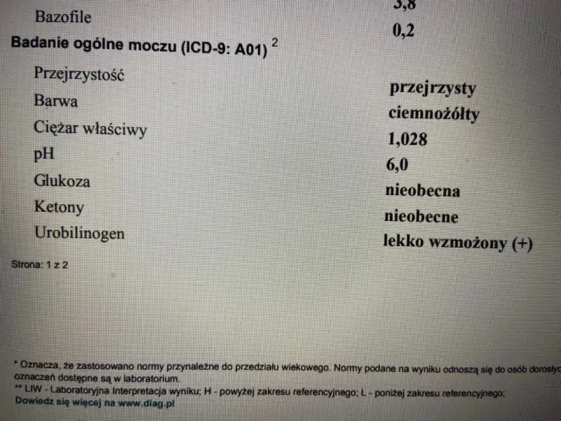 Wynik badania ogólnego moczu: Urobilinogen lekko wzmożony (+).